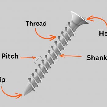 the anatomy of a screw