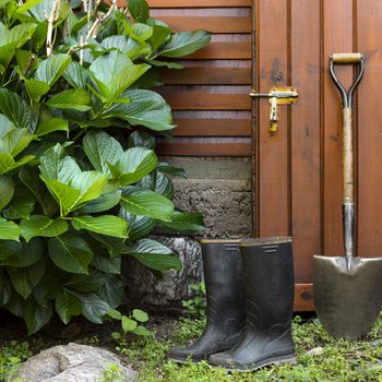 protect your garden shed