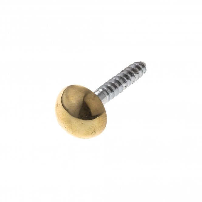 Mirror Screws BZP c/w Brass Domes